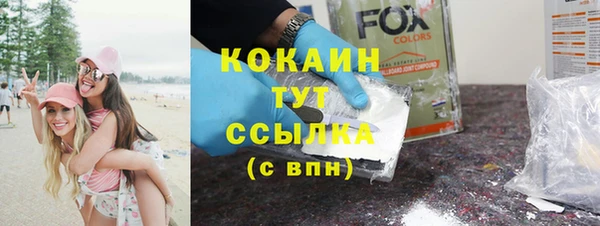 ПСИЛОЦИБИНОВЫЕ ГРИБЫ Аркадак