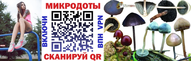 Псилоцибиновые грибы ЛСД где купить наркотик Пушкино