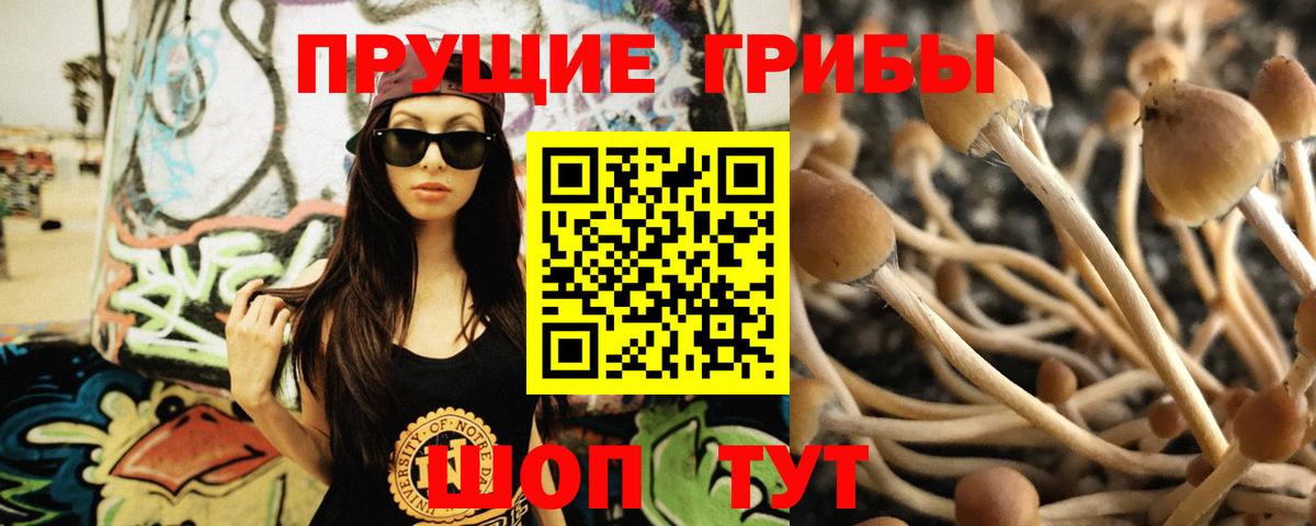 Галлюциногенные грибы Cubensis Пушкино
