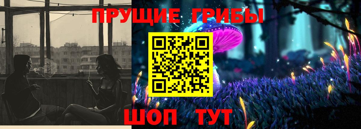 Пушкино  Псилоцибиновые грибы мухоморы  даркнет сайт  Вход с VPN 