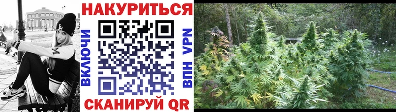 Конопля марихуана  наркошоп  Пушкино 
