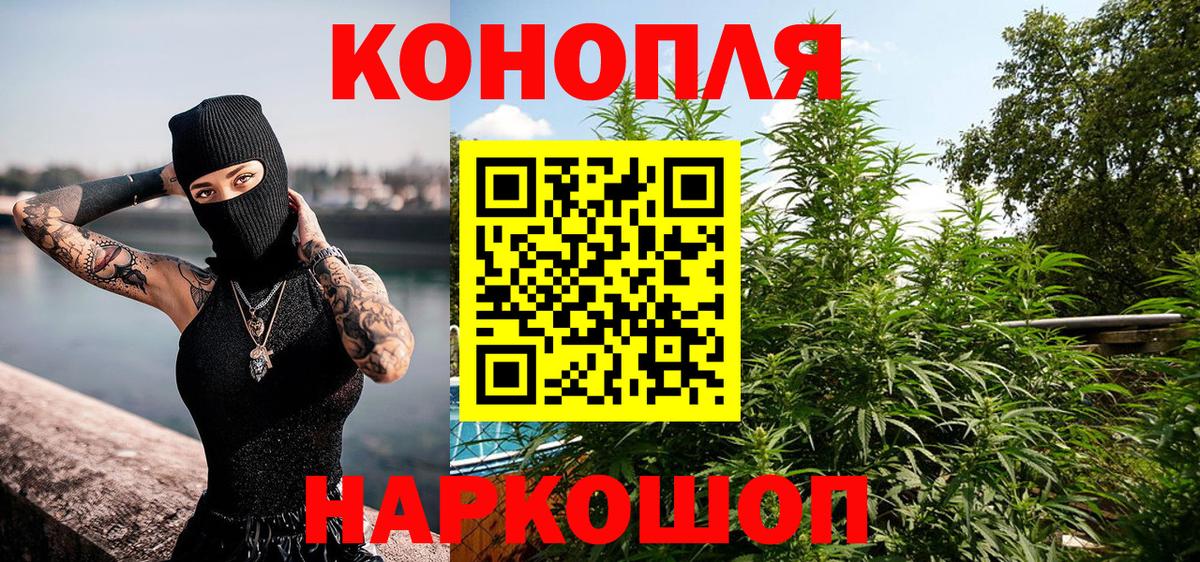 Пушкино  Бошки марихуана THC 21%  Конопля марихуана  Канабис VHQ  Вход с VPN 